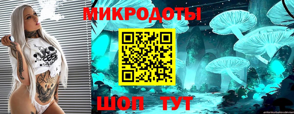 Галлюциногенные грибы Cubensis Жуковский